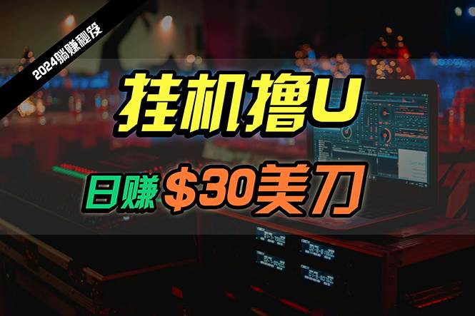 日赚30美刀，2024最新海外挂机撸U内部项目，全程无人值守，可批量放大-繁星副业