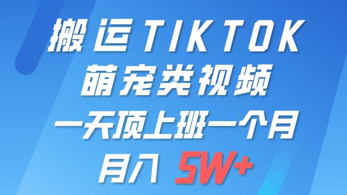 一键搬运TIKTOK萌宠类视频 一部手机即可操作 所有平台均可发布 轻松月入5W+-繁星副业
