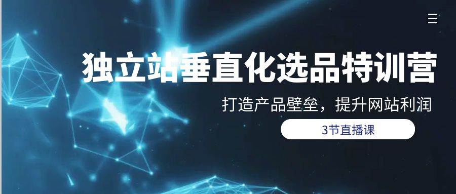 独立站-垂直化选品训练营，打造产品壁垒，提升网站利润（3节直播课）-繁星副业