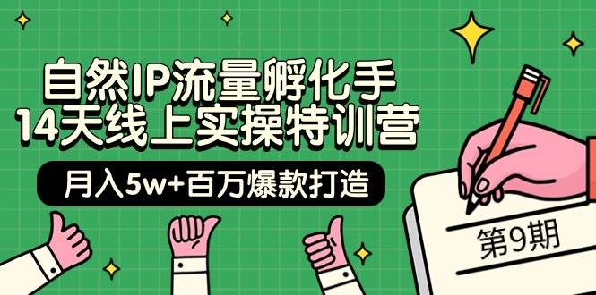 自然IP流量孵化手 14天线上实操特训营【第9期】月入5w+百万爆款打造 (74节)-繁星副业