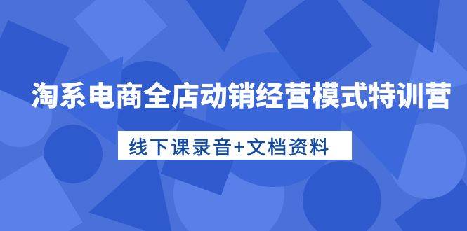 淘系电商全店动销经营模式特训营，线下课录音+文档资料-繁星副业