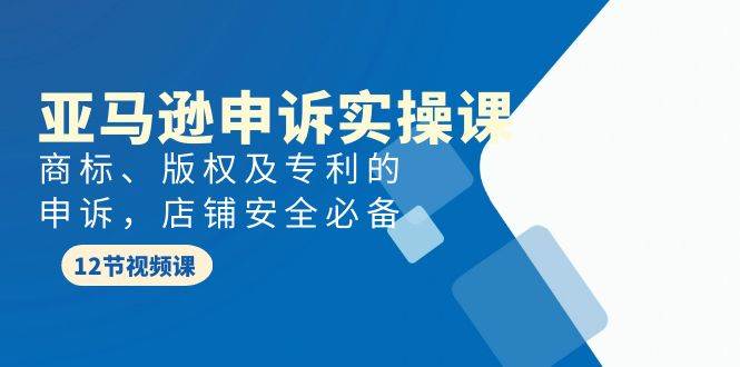 亚马逊-申诉实战课，商标、版权及专利的申诉，店铺安全必备-繁星副业