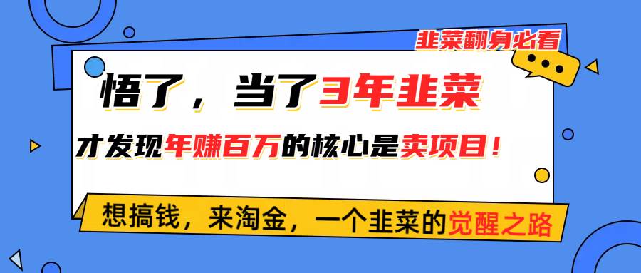 悟了，当了3年韭菜，才发现网赚圈年赚100万的核心是卖项目，含泪分享！-繁星副业