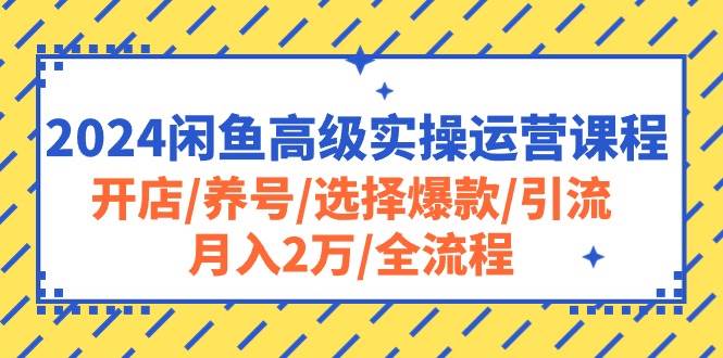 2024闲鱼高级实操运营课程：开店/养号/选择爆款/引流/月入2万/全流程-繁星副业