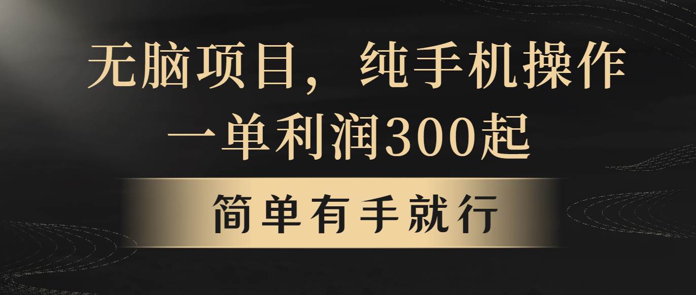 无脑项目，一单几百块，轻松月入5w+，看完就能直接操作-繁星副业