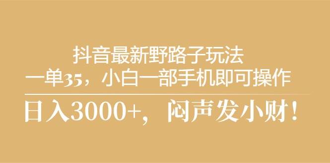 抖音最新野路子玩法，一单35，小白一部手机即可操作，，日入3000+，闷…-繁星副业