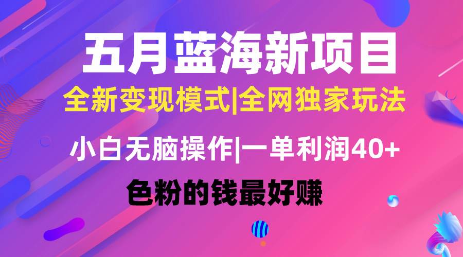 五月蓝海项目全新玩法，小白无脑操作，一天几分钟，矩阵操作，月入4万+-繁星副业
