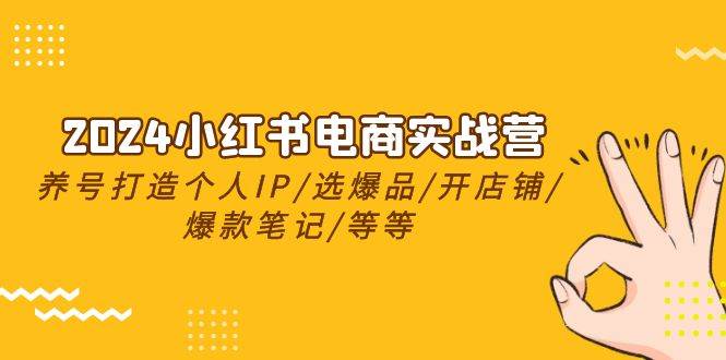 2024小红书电商实战营，养号打造IP/选爆品/开店铺/爆款笔记/等等（24节）-繁星副业