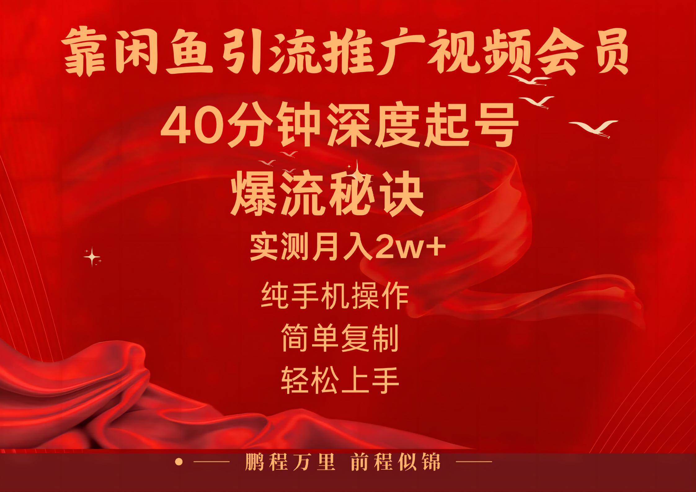 闲鱼暴力引流推广视频会员，能做到日入2W+，操作简单-繁星副业