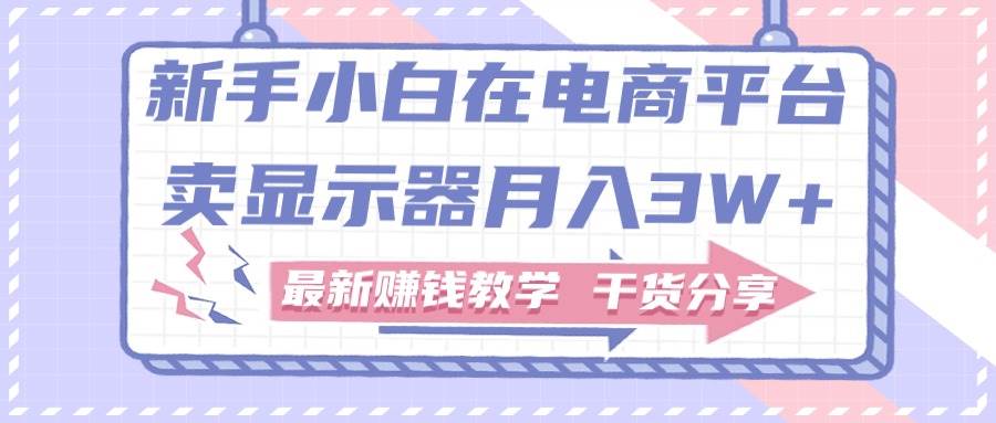 新手小白如何做到在电商平台卖显示器月入3W+，最新赚钱教学干货分享-繁星副业