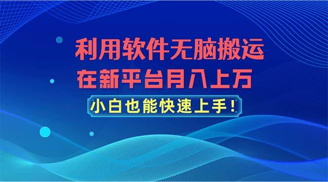 利用软件无脑搬运，在新平台月入上万，小白也能快速上手-繁星副业