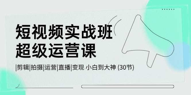 短视频实战班-超级运营课，|剪辑|拍摄|运营|直播|变现 小白到大神 (30节)-繁星副业