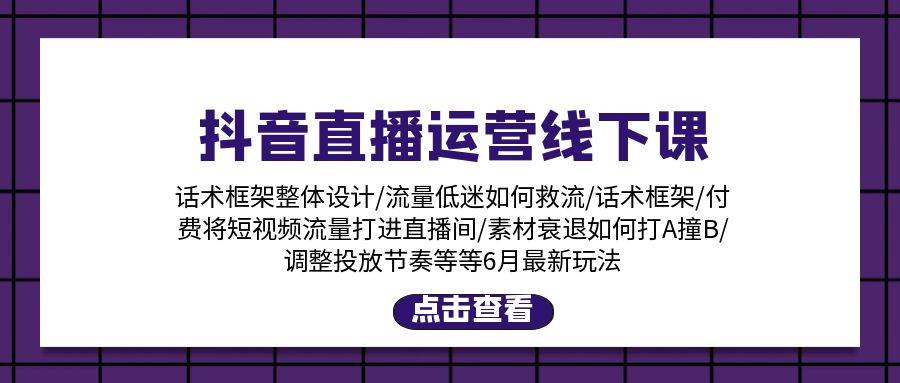 抖音直播运营线下课：话术框架/付费流量直播间/素材A撞B/等6月新玩法-繁星副业