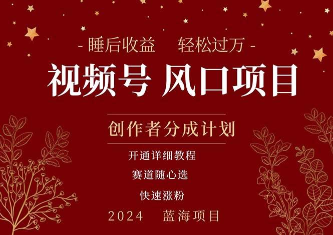 拥有睡眠收益的微信视频号大风口项目，轻松月入过万+，多赛道选择，可…-繁星副业