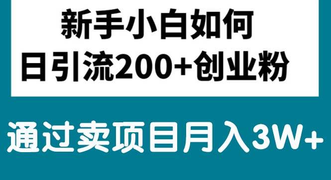 新手小白日引流200+创业粉,通过卖项目月入3W+-繁星副业