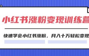 2024小红书涨粉变现训练营，快速学会小红书涨粉，月入十万轻松变现(40节)-繁星副业
