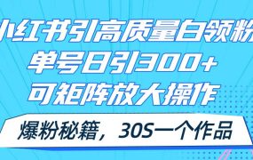 小红书引高质量白领粉,单号日引300+,可放大操作,爆粉秘籍!30s一个作品-繁星副业