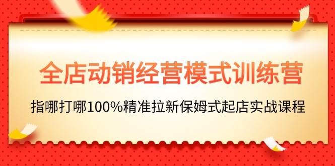全店动销-经营模式训练营，指哪打哪100%精准拉新保姆式起店实战课程-繁星副业
