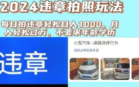 2024违章拍照新玩法,推广躺赚+拍照赚钱双模式,日入1000+-繁星副业