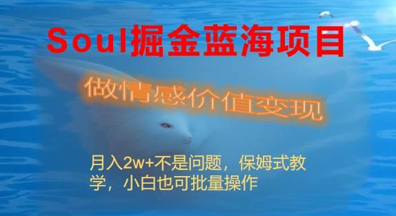 Soul掘金蓝海项目细分赛道，做情感价值变现，月入2w+不是问题-繁星副业