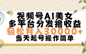 视频号AI美女，轻松月入30000+,操作简单轻松上手-繁星副业