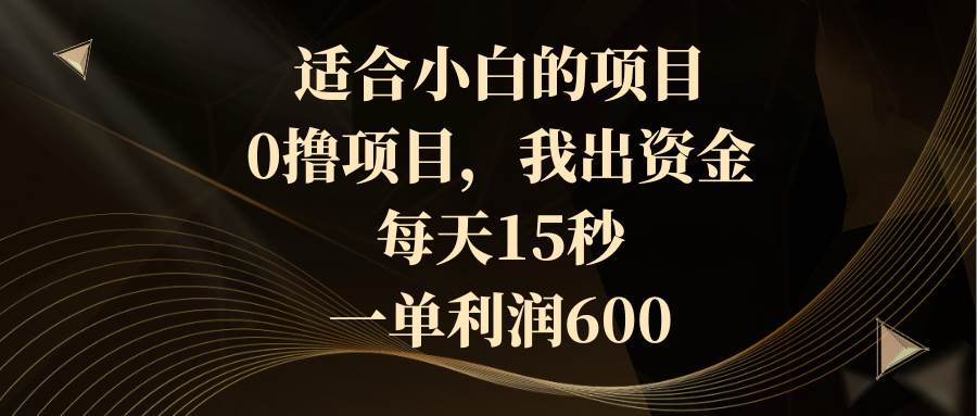 适合小白的项目，0撸项目，我出资金，每天15秒，一单利润600-繁星副业