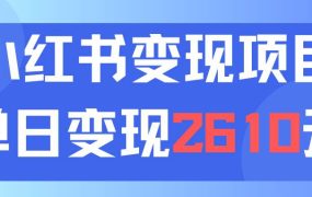 利用小红书卖资料单日引流150人当日变现2610元小白可实操（教程+资料）-繁星副业