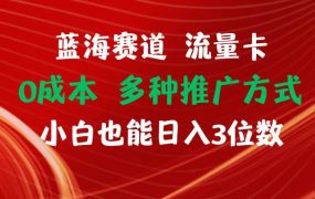 蓝海赛道 流量卡 0成本 小白也能日入三位数-繁星副业