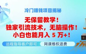冷门赚钱项目无保留教学!独家引流技术,无脑操作!小白也能月入5万+!-繁星副业