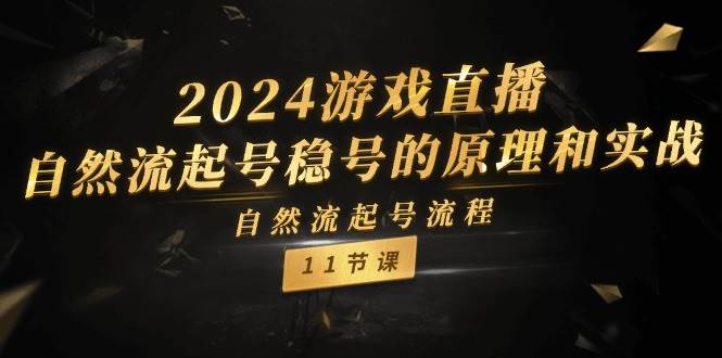 2024游戏直播-自然流起号稳号的原理和实战，自然流起号流程（11节）-繁星副业