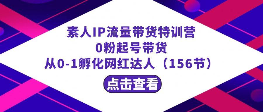 繁星·计划素人IP流量带货特训营：0粉起号带货 从0-1孵化网红达人（156节）-繁星副业