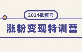 2024视频号-涨粉变现特训营:一站式打造稳定视频号涨粉变现模式(10节)-繁星副业