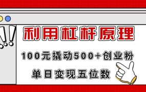 利用杠杆100元撬动500+创业粉,单日变现5位数-繁星副业