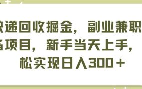 快递回收掘金,副业兼职必备项目,新手当天上手,轻松实现日入300+-繁星副业