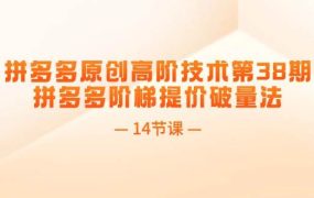 拼多多原创高阶技术第38期,拼多多阶梯提价破量法(14节课)-繁星副业