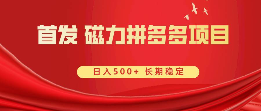 首发 磁力拼多多自撸  日入500+-繁星副业