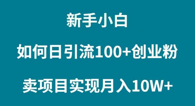 新手小白如何通过卖项目实现月入10W+-繁星副业