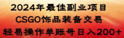 2024年最佳副业项目 CSGO饰品装备交易 轻易操作单账号日入200+-繁星副业