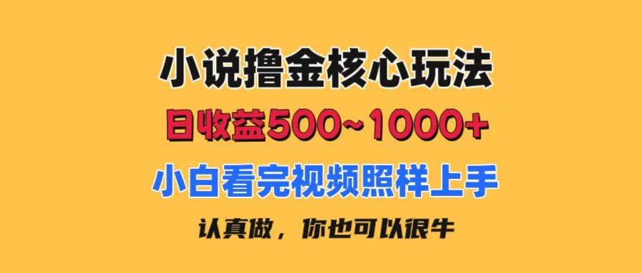 小说撸金核心玩法，日收益500-1000+，小白看完照样上手，0成本有手就行-繁星副业