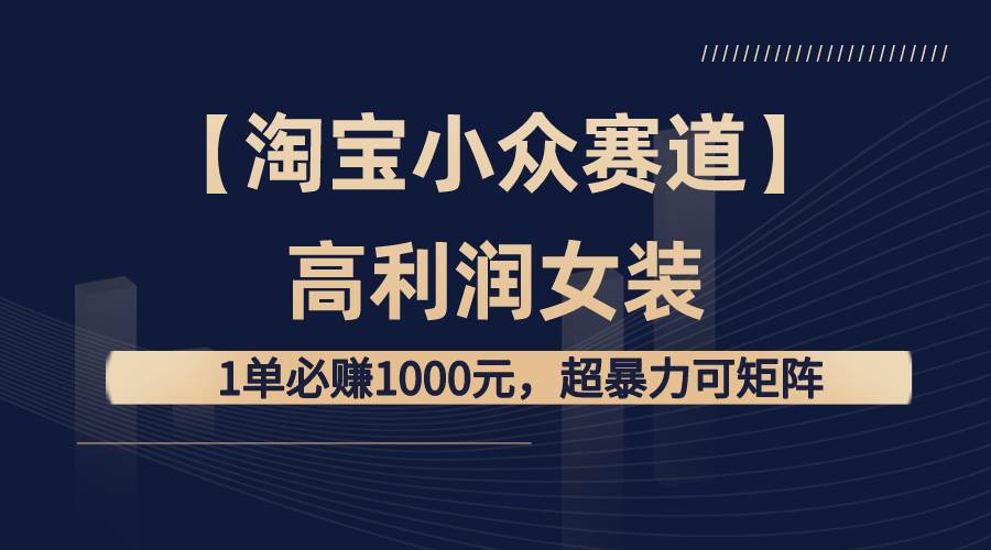 【淘宝小众赛道】高利润女装：1单必赚1000元，超暴力可矩阵-繁星副业