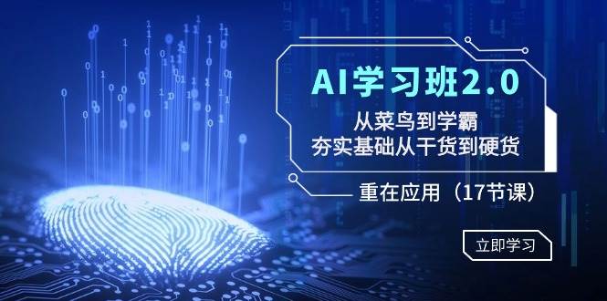 AI学习班2.0：从菜鸟到学霸，夯实基础从干货到硬货，重在应用（17节课）-繁星副业