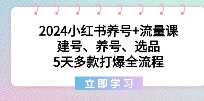 2024小红书养号+流量课：建号、养号、选品，5天多款打爆全流程-繁星副业