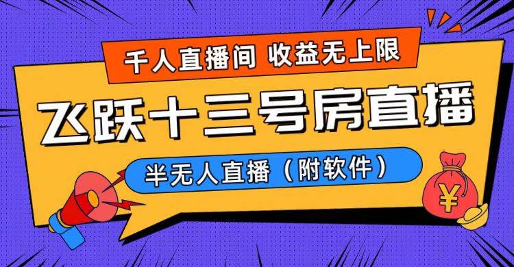 爆火飞跃十三号房半无人直播，一场直播上千人，日入过万！（附软件）-繁星副业