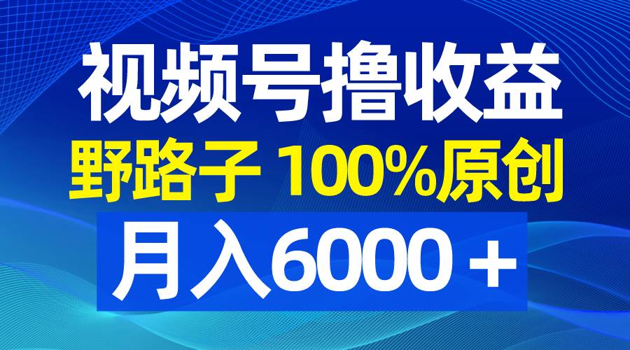 视频号野路子撸收益，100%原创，条条爆款，月入6000＋-繁星副业