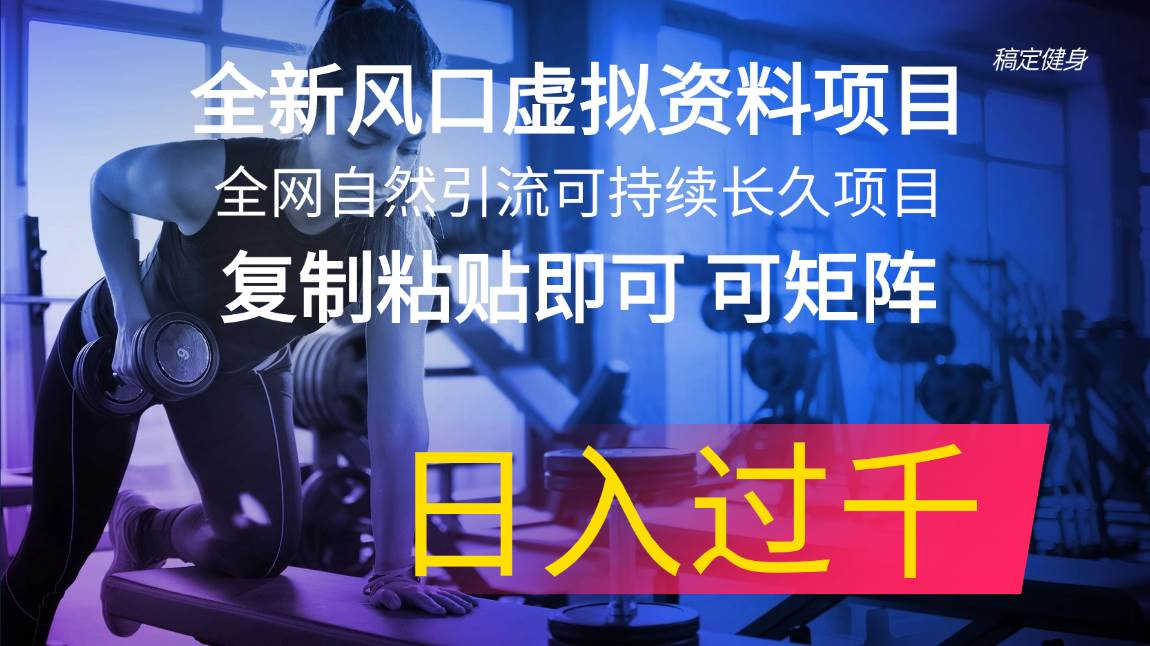 全新风口虚拟资料项目 全网自然引流可持续长久项目 复制粘贴即可可矩阵…-繁星副业
