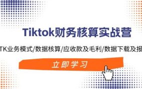 Tiktok财务核算实战营：TK业务模式/数据核算/应收款及毛利/数据下载及报表-繁星副业