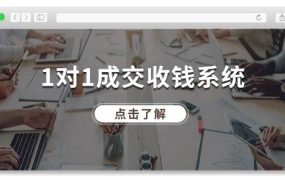 1对1成交 收钱系统,十年专注于引流和成交,全网130万+粉丝-繁星副业