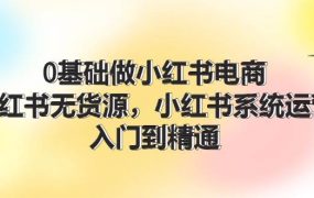 0基础做小红书电商,小红书无货源,小红书系统运营,入门到精通 (70节)-繁星副业