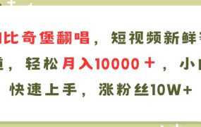 AI比奇堡翻唱歌曲，短视频新鲜赛道，轻松月入10000＋，小白快速上手，...-繁星副业