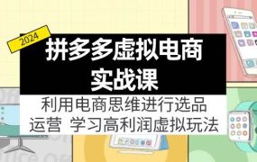 拼多多虚拟电商实战课:利用电商思维进行选品+运营,学习高利润虚拟玩法-繁星副业